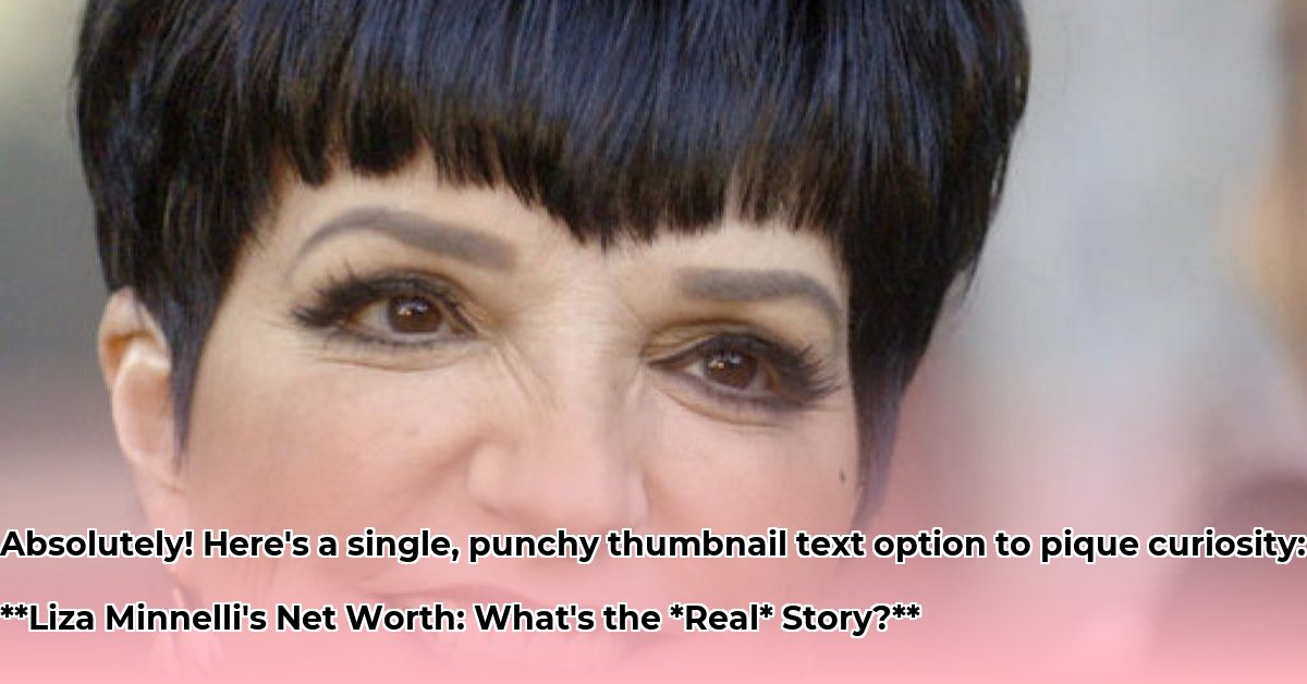liza-minnelli-net-worth